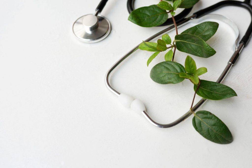 Integrative medicine for physicians_ leaves and stethoscope
