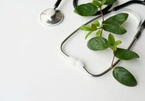 Integrative medicine for physicians_ leaves and stethoscope